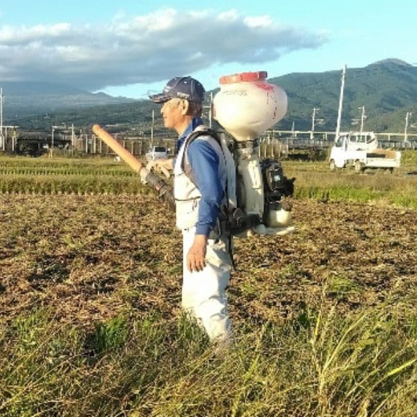 生産者と米の栽培情報のイメージ画像
