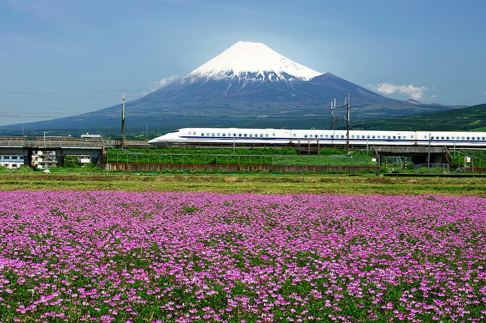 ふじ山れんげ米の産地、静岡県富士市富士岡のイメージ画像